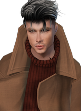 avatar picture
