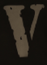 Guest_Vecc