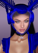 CowGirlTHUNDERSDOMES