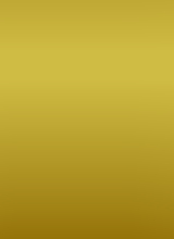 Zingara23