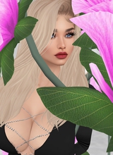 Guest_SugarLady9