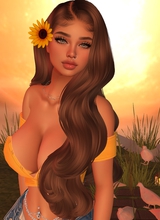 LilSunflower