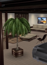 Guest_sven585560