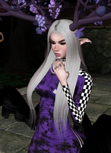 Guest_EVELYNNEXE