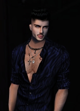 Henrique545625