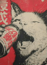 Cerveza