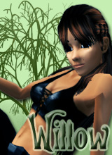 Willow_old2
