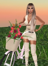 Guest_Katherine464299