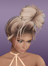 Guest_Evoletto