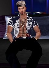 TeddyDj
