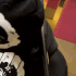Guest_Geexxclusivee