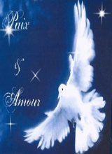 AngeXXX
