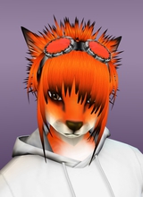 Guest_DarkTheFurry