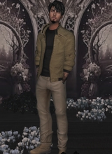 Guest_Ludo221614
