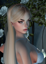 Guest_Aurora236287