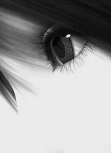 avatarbild