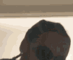 Guest_jasmine248923