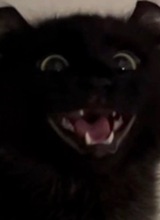 Deyth