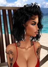 Guest_Tasha559610