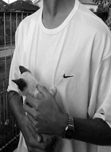 immagine avatar