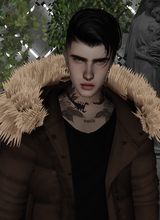 avatar-billede