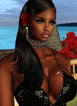 Guest_matis