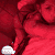 Guest_LilManKY