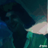 Guest_Prim228287