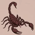 Scrim4Me