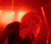 Guest_shayshay60217