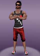 BrickWildeMarco