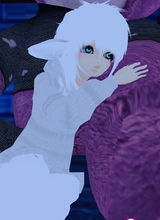 avatar picture