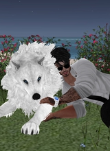 Guest_jhonparker4