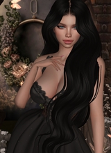 Guest_VetiverDreams