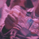 Guest_creez