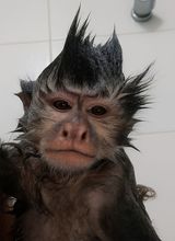 Yusuo