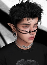senn