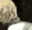 Guest_4PFTBREEZO
