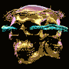 immagine avatar