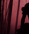 Guest_HIVRA