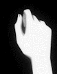Guest_Hiba143094