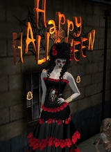 Guest_palomaaspen