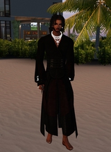 Guest_Polo598777