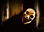 Guest_ER229421