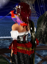 Pirate29ge