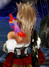 Pirate29ge
