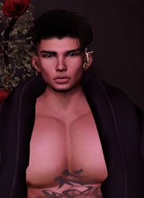 Guest_Arcalis