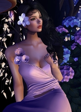 Guest_Jazz403223