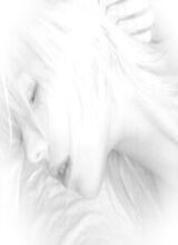 صورة الـavatar