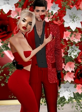 Guest_MaxLeeJackson